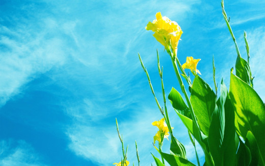 464526 (a): :1920x1200